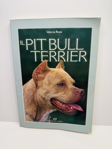 Pit bull pitbull - pit,