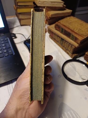 Libro oceano vittorio - libro,